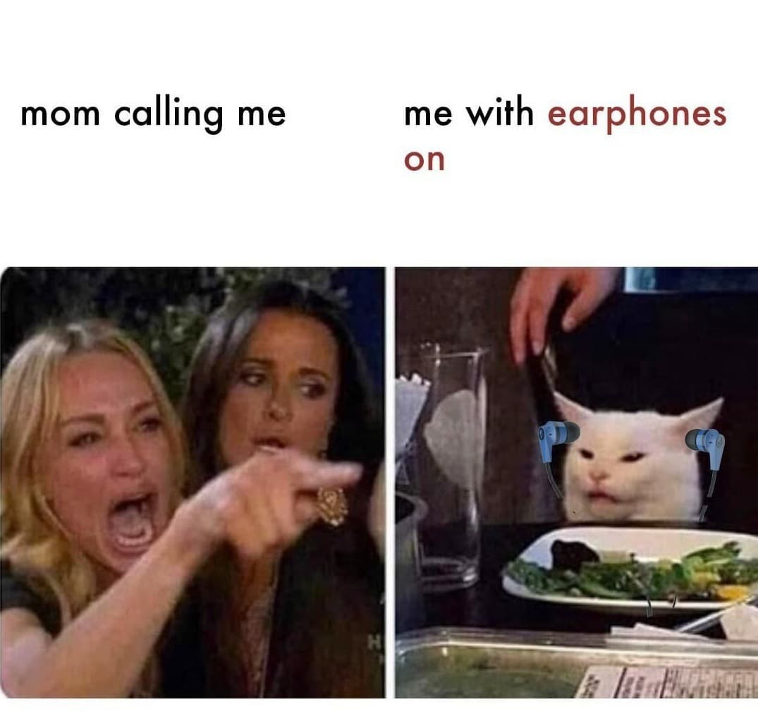 Meme 1