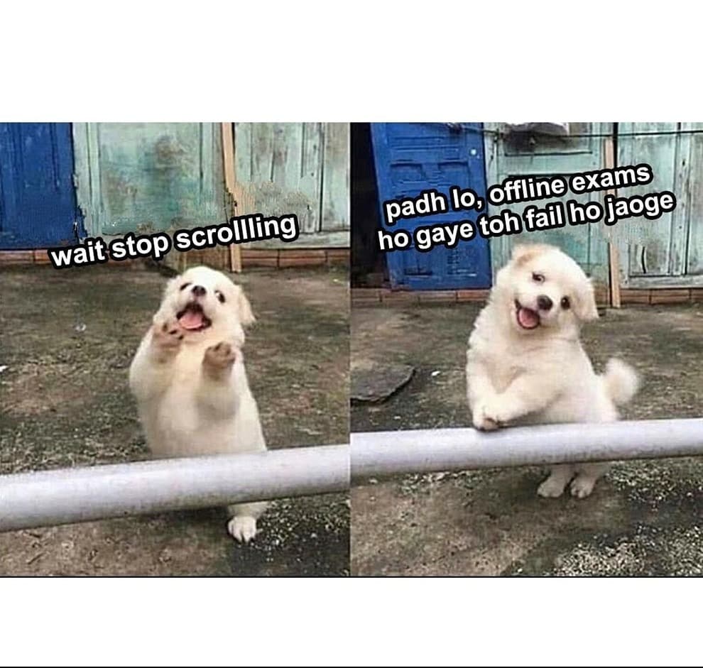 Meme 5