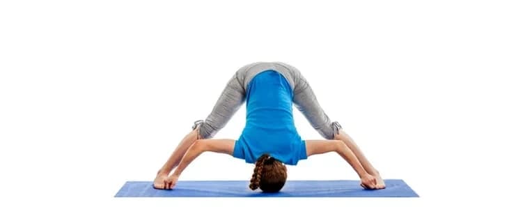 Prasarita Padahastasana
